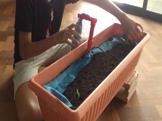 Học sinh sáng chế hệ thống tưới tự động không cần năng lượng