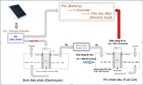 co-ch-u1ebf-ho-u1ea1t-d-u1ed9n-8407-7517
