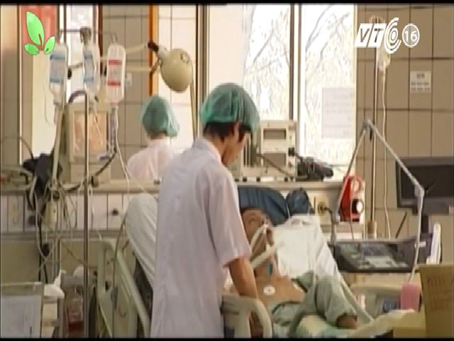 Cách ăn uống khi bị gan nhiễm mỡ