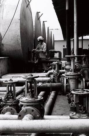 Hành trình 65 năm phát triển của Petrolimex