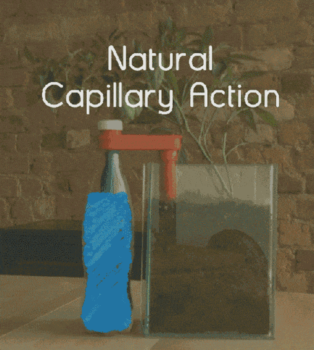 hệ thống tưới tự động Grow-It-Yourself (GIY) Stick