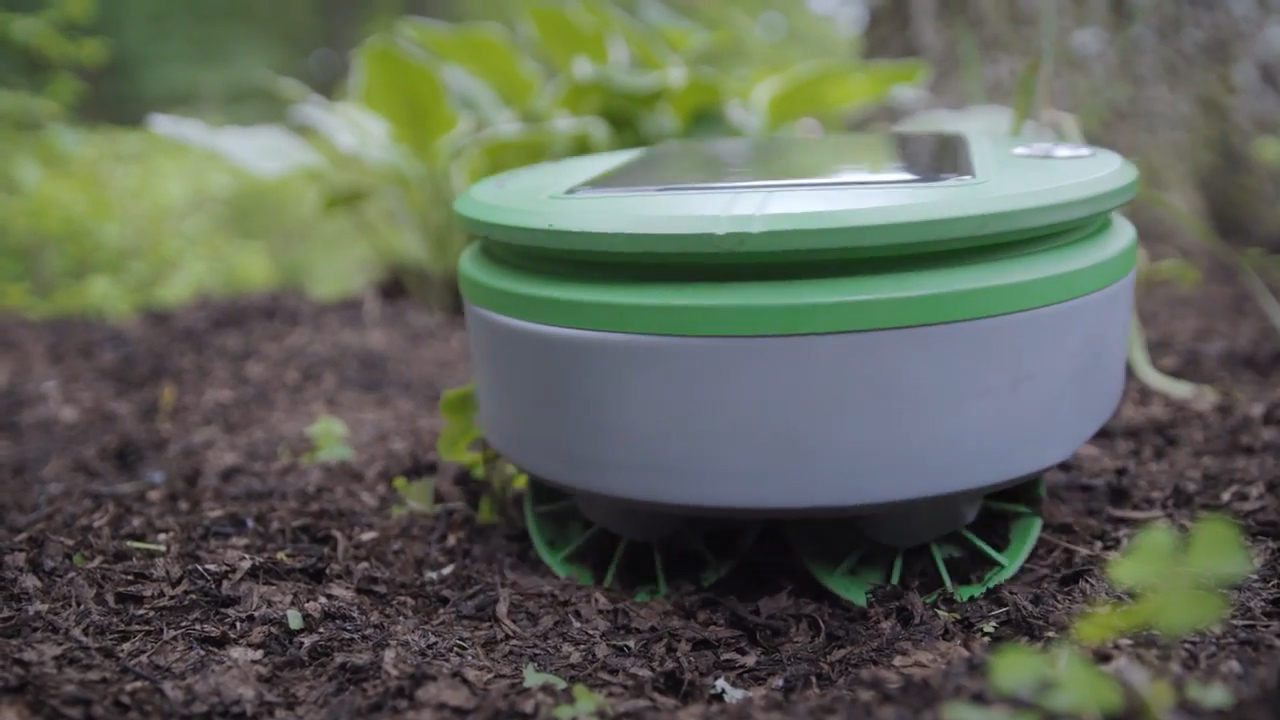 Robot cắt cỏ chạy bằng năng lượng mặt trời