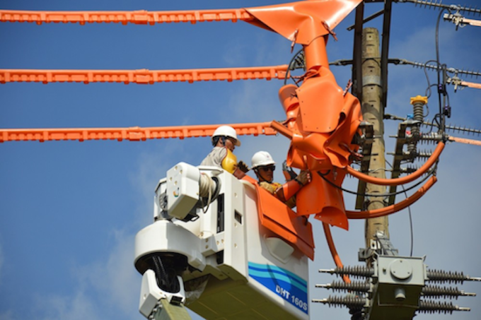 Công nhân điện lực TP HCM sửa chữa, bảo dưỡng trên đường dây. Ảnh: EVNHCM