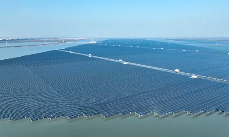Dự án điện mặt trời kết hợp nuôi cá lớn nhất Trung Quốc
