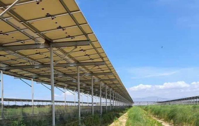 Hệ thống điện mặt trời được lắp đặt tại một trang trại nông nghiệp ở Ninh Thuận. Ảnh: Bằng Lương